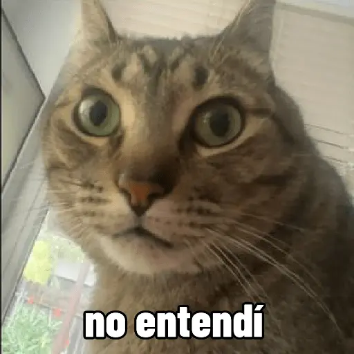 Nuevos Gatos para responder 🐱⚡ 