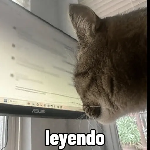 Nuevos Gatos para responder 🐱⚡ 