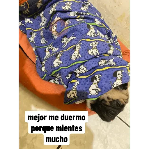no lo se dimelo tu sticker 24