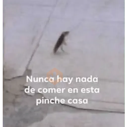 no lo se dimelo tu sticker 13