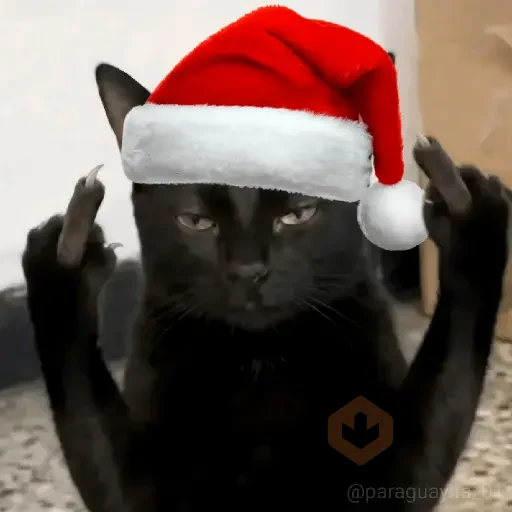 🎄🎅🏻 NAVIDAD 🎅🏻🎄 [Moods] sticker 21
