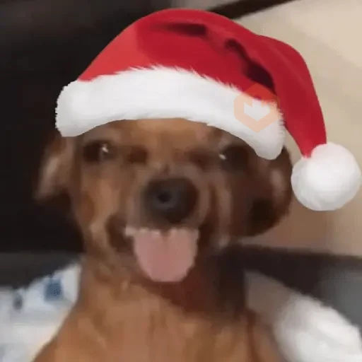 🎄🎅🏻 NAVIDAD 🎅🏻🎄 [Moods] sticker 14