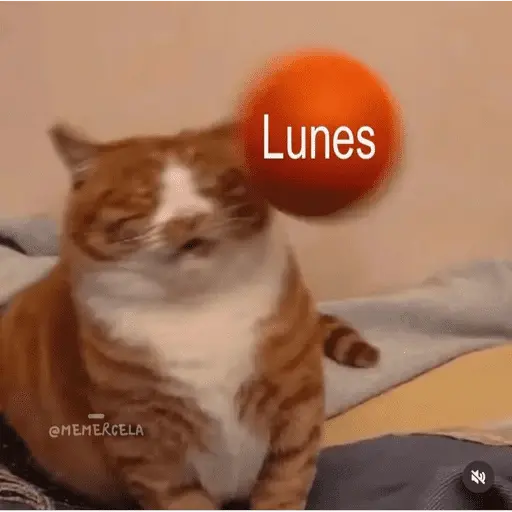 😴 LUNES A QUE COSTO? 😴