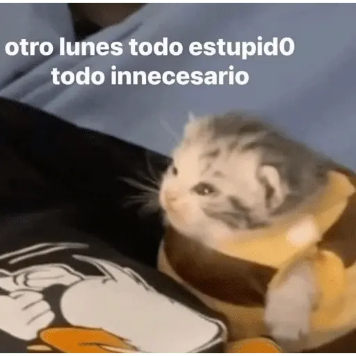 😴 LUNES A QUE COSTO? 😴