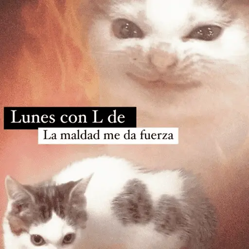 😴 LUNES A QUE COSTO? 😴