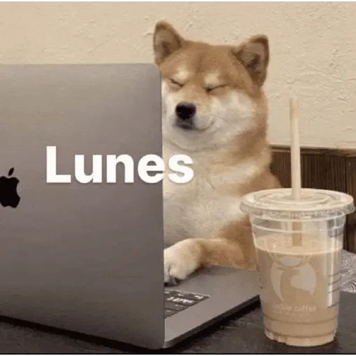 😴 LUNES A QUE COSTO? 😴