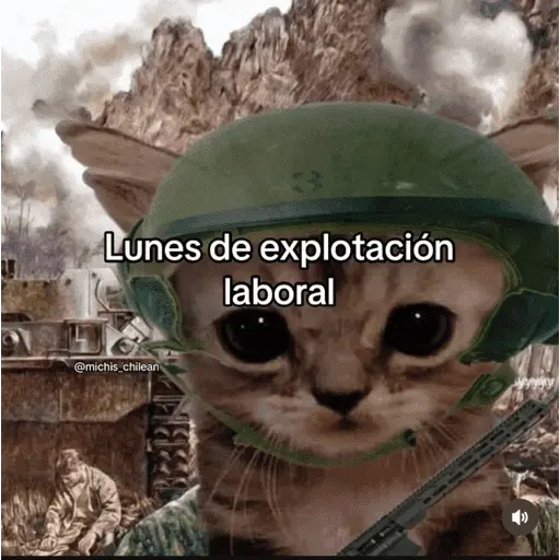 😴 LUNES A QUE COSTO? 😴
