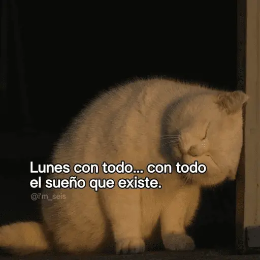 😴 LUNES A QUE COSTO? 😴