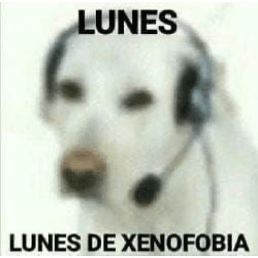😴 LUNES A QUE COSTO? 😴 preview