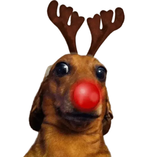 Memes Navideños #2 🎄🎅🤶