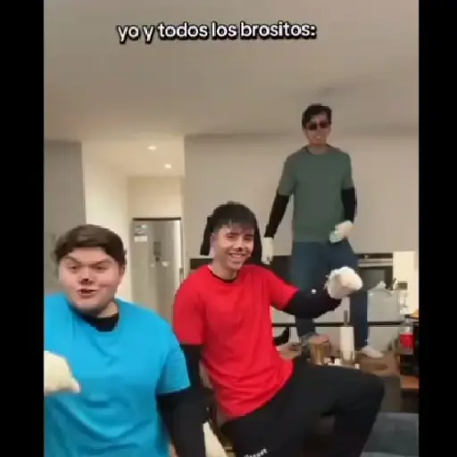 Los bros