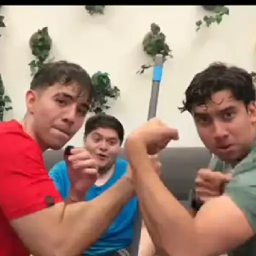 Los bros