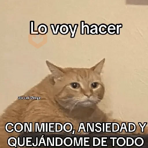Memes Random 23 🧐👑💫 sticker 14
