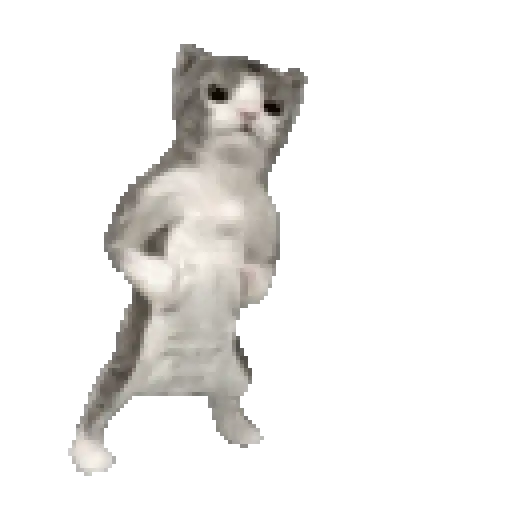 🎶🪩 TIKTOK Dancing 2 🪩🎶 preview