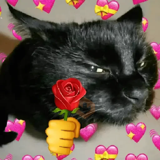 💞💖 AMOR 13 💖💞 sticker 21
