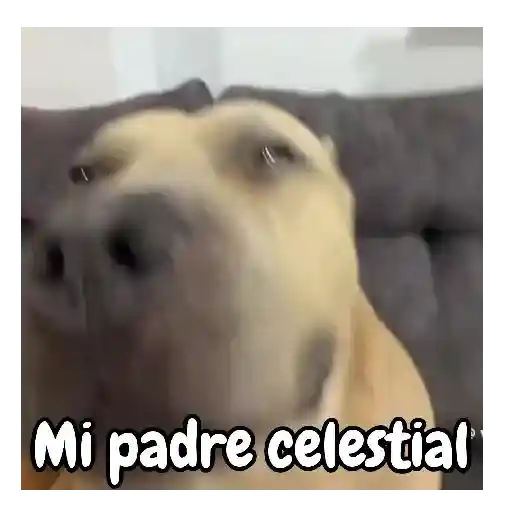 Fuera fuera depresión! 😆🎶