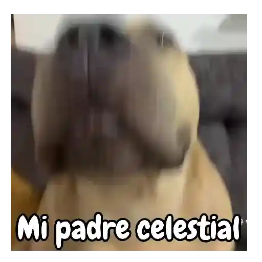 Fuera fuera depresión! 😆🎶 preview