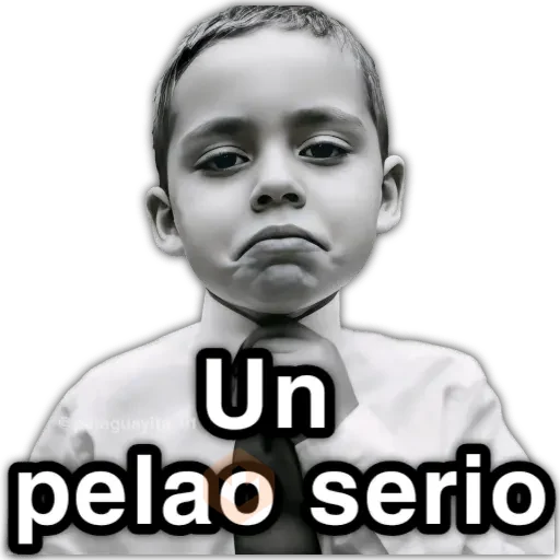 📮 MEMES para ti 19 📩 sticker 12
