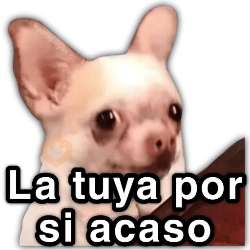 📮 MEMES para ti 19 📩 sticker 24