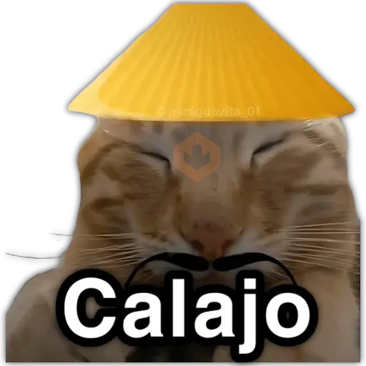 📮 MEMES para ti 19 📩 sticker 23