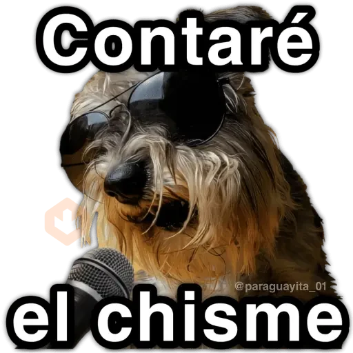 📮 MEMES para ti 19 📩 sticker 19