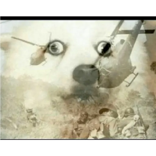 Hilos pedorros