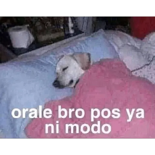 Hilos pedorros