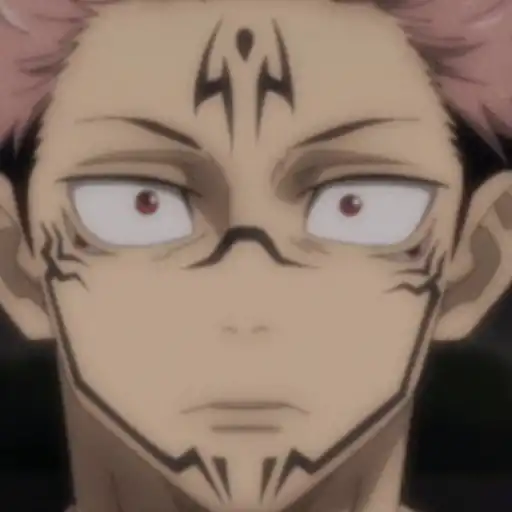 Jujutsu Kaisen ✨