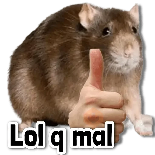 COMBO de Stickers #12 💢 sticker 15