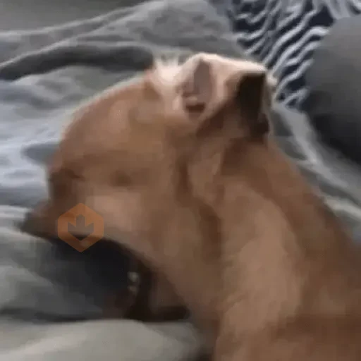 Meme Reaction Tiktok #5 sticker 12