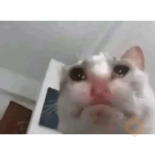 Memes y reacciones tristes 😭 sticker 14