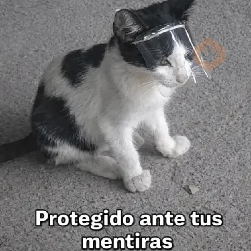 🛟 Random pal chat 💬😎 18 sticker 14