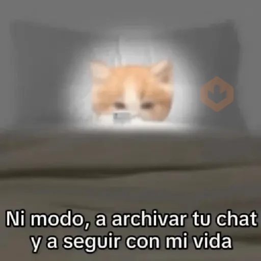 🛟 Random pal chat 💬😎 18 sticker 13