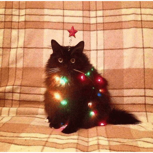 🎄ANIMALITOS NAVIDEÑOS 🎄 preview