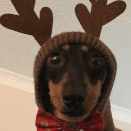 🎄ANIMALITOS NAVIDEÑOS 🎄 preview