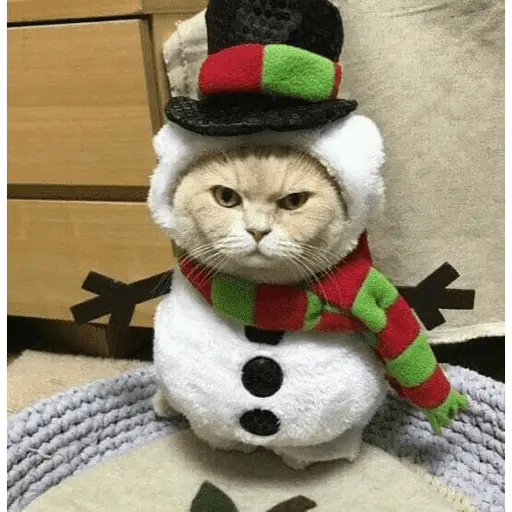 🎄ANIMALITOS NAVIDEÑOS 🎄