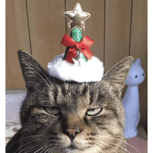 🎄ANIMALITOS NAVIDEÑOS 🎄