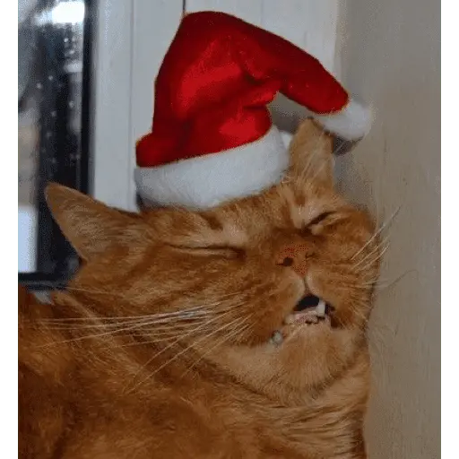 🎄ANIMALITOS NAVIDEÑOS 🎄