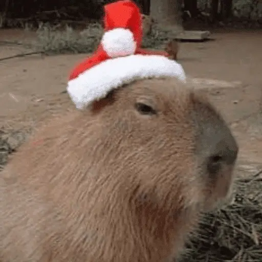 🎄ANIMALITOS NAVIDEÑOS 🎄