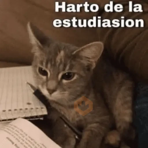😽 GATOS CON FRASES 😸 sticker 12