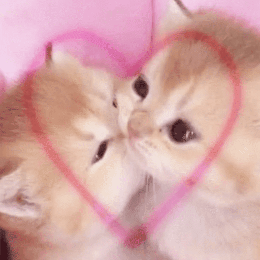 Gatitos de amor - 2026 🐱❤️ preview