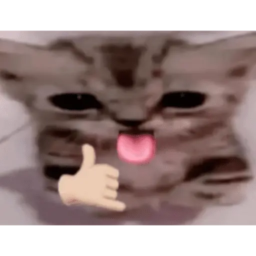 Gatitos de amor - 2026 🐱❤️