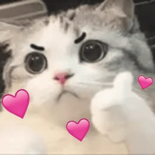 Gatitos de amor - 2026 🐱❤️