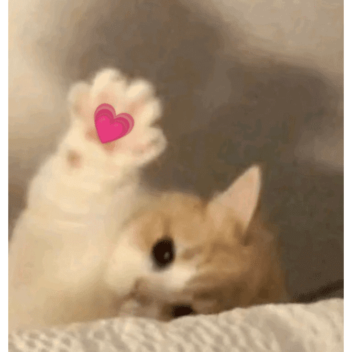 Gatitos de amor - 2026 🐱❤️ preview