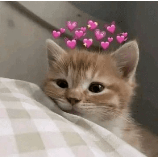Gatitos de amor - 2026 🐱❤️ preview
