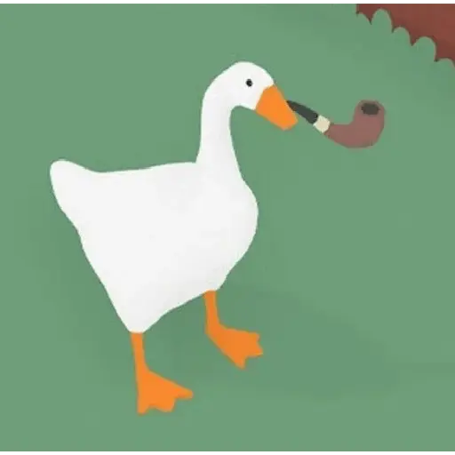 Pato reacciones 🦆❤️
