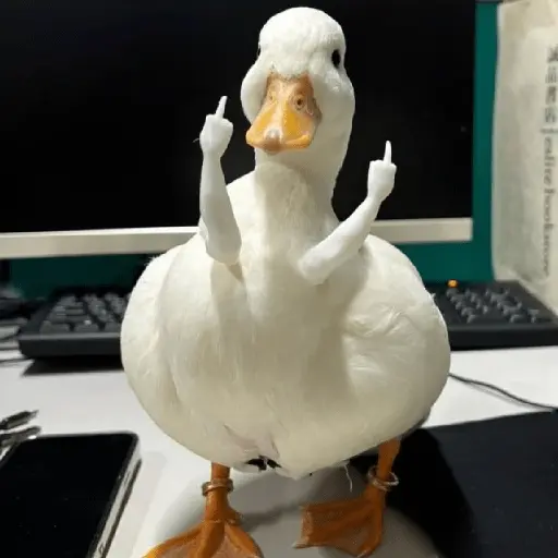 Pato reacciones 🦆❤️