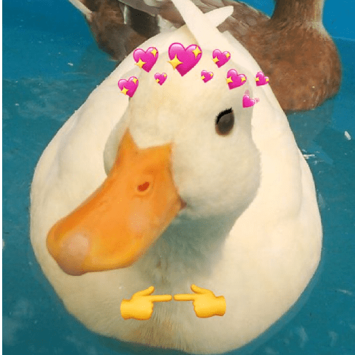 Pato reacciones 🦆❤️ preview