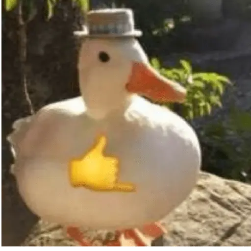 Pato reacciones 🦆❤️