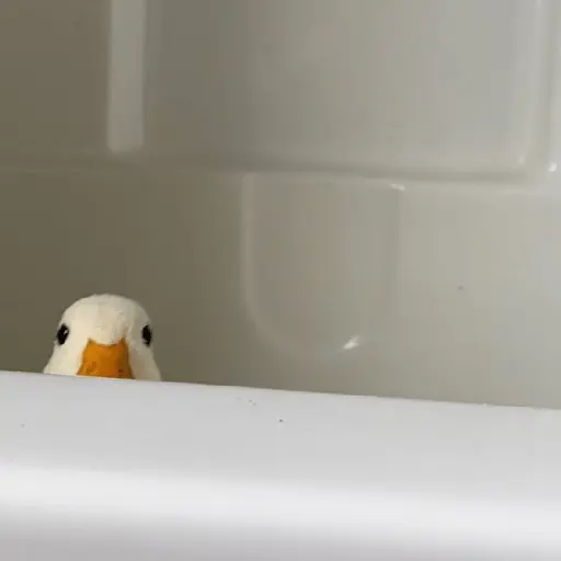 Pato reacciones 🦆❤️